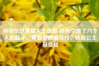 孙悟空过黄眉大王攻略-孙悟空进了六个人的肚子，黄眉老妖最可怜，铁扇公主最委屈