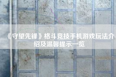 《守望先锋》格斗竞技手机游戏玩法介绍及温馨提示一览