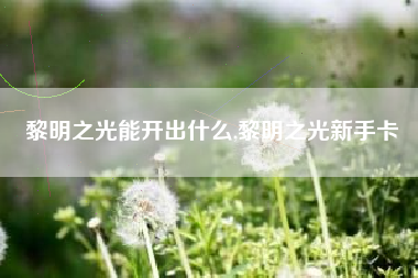 黎明之光能开出什么,黎明之光新手卡