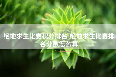 绝地求生比赛积分排名-绝地求生比赛排名分数怎么算