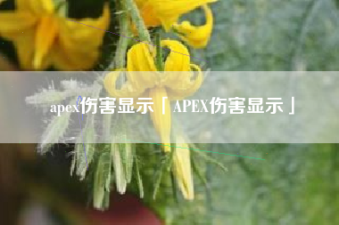 apex伤害显示「APEX伤害显示」