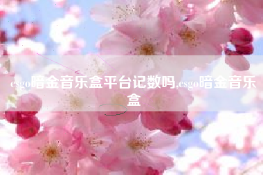 csgo暗金音乐盒平台记数吗,csgo暗金音乐盒