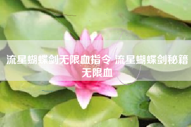 流星蝴蝶剑无限血指令 流星蝴蝶剑秘籍无限血