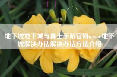 地下城地下城与勇士手游官网nexon地下城解决办法解决办法方法介绍