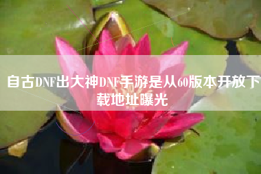 自古DNF出大神DNF手游是从60版本开放下载地址曝光