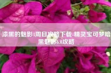 漆黑的魅影4周目攻略下载-精灵宝可梦暗黑魅影6.0攻略