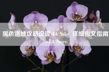 黑色洛城攻略说谎-LA Noire 详细图文指南 - LA Noire