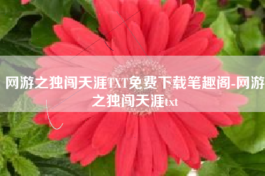 网游之独闯天涯TXT免费下载笔趣阁-网游之独闯天涯txt