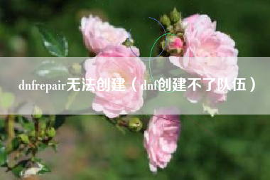 dnfrepair无法创建（dnf创建不了队伍）