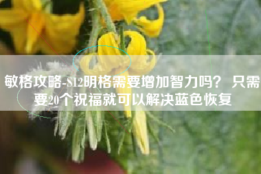 敏格攻略-S12明格需要增加智力吗？ 只需要20个祝福就可以解决蓝色恢复