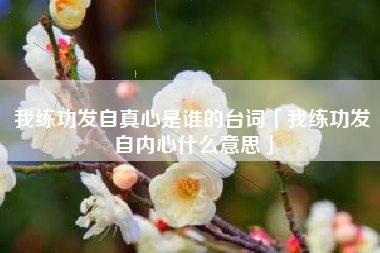 我练功发自真心是谁的台词「我练功发自内心什么意思」