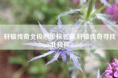 轩辕传奇北极熊坐标答案,轩辕传奇寻找北极熊