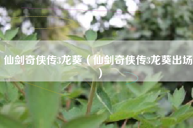 仙剑奇侠传3龙葵（仙剑奇侠传3龙葵出场）
