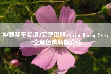 冲刺赛车物语2完整攻略-Sprint Racing Story 2全角色破解版介绍
