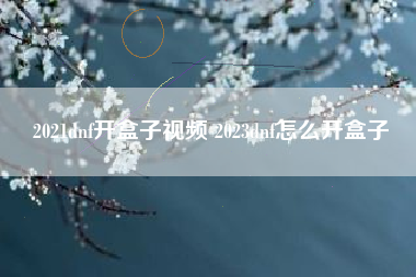 2021dnf开盒子视频 2023dnf怎么开盒子