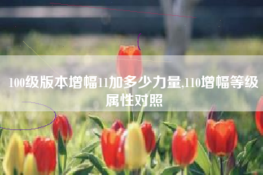 100级版本增幅11加多少力量,110增幅等级属性对照