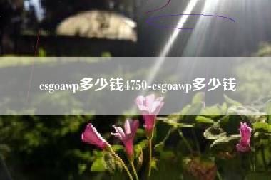 csgoawp多少钱4750-csgoawp多少钱