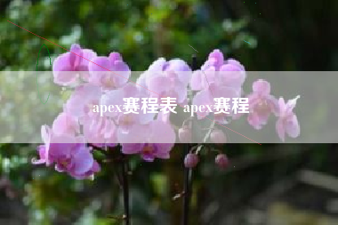 apex赛程表 apex赛程