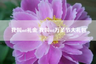 我叫mt礼金 我叫mt万圣节大礼包