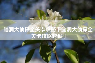 脑洞大侦探全关卡攻略「脑洞大侦探全关卡攻略越狱」