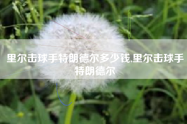 里尔击球手特朗德尔多少钱,里尔击球手特朗德尔