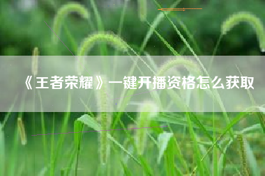 《王者荣耀》一键开播资格怎么获取