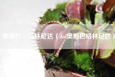 奥斯巴·格林尼达（dnf奥斯巴格林尼达）