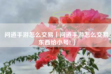 问道手游怎么交易「问道手游怎么交易东西给小号?」