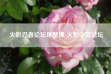 火影忍者论坛体整理-火影中文论坛