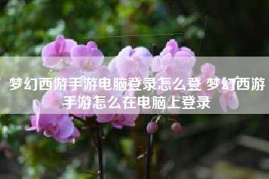 梦幻西游手游电脑登录怎么登 梦幻西游手游怎么在电脑上登录