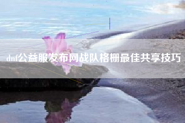 dnf公益服发布网战队格栅最佳共享技巧