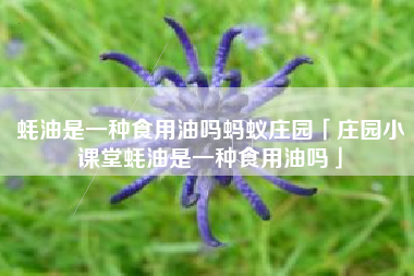 蚝油是一种食用油吗蚂蚁庄园「庄园小课堂蚝油是一种食用油吗」