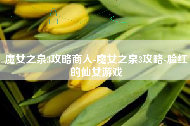 魔女之泉3攻略商人-魔女之泉3攻略-脸红的仙女游戏