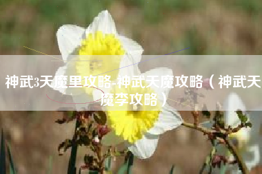 神武3天魔里攻略-神武天魔攻略（神武天魔李攻略）