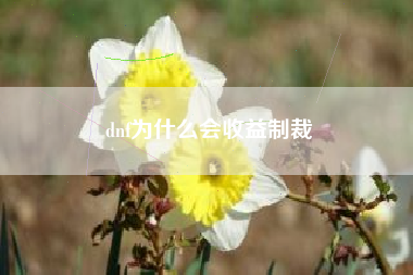 dnf为什么会收益制裁