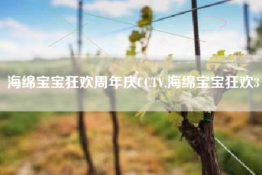 海绵宝宝狂欢周年庆CCTV,海绵宝宝狂欢3