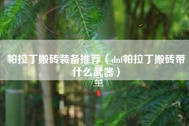 帕拉丁搬砖装备推荐（dnf帕拉丁搬砖带什么武器）