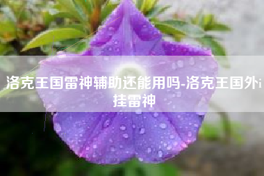 洛克王国雷神辅助还能用吗-洛克王国外i挂雷神