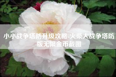 小小战争塔防升级攻略-火柴人战争塔防版无限金币截图