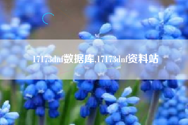 17173dnf数据库,17173dnf资料站