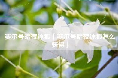 赛尔号暗夜冰狐「赛尔号暗夜冰狐怎么获得」