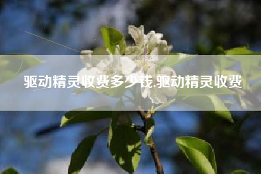 驱动精灵收费多少钱,驱动精灵收费