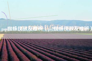 psp蜘蛛侠敌友难辨（ps2蜘蛛侠敌友难辨）