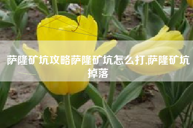 萨隆矿坑攻略萨隆矿坑怎么打,萨隆矿坑掉落