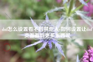 dnf怎么设置看不到其他人-如何设置让dnf页面看到更多东西呢