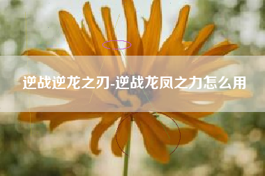 逆战逆龙之刃-逆战龙凤之力怎么用