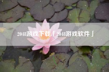 2048游戏下载「2048游戏软件」