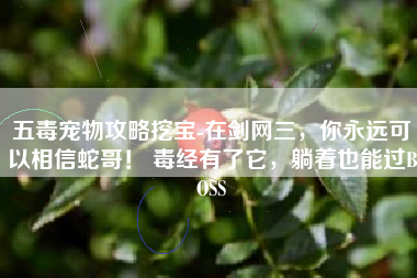 五毒宠物攻略挖宝-在剑网三，你永远可以相信蛇哥！ 毒经有了它，躺着也能过BOSS