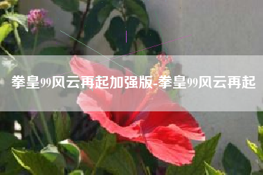 拳皇99风云再起加强版-拳皇99风云再起