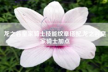 龙之谷皇家骑士技能纹章搭配,龙之谷皇家骑士加点